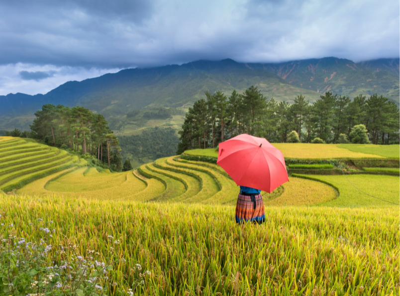 沙坝拥有壮丽的山景、宁静的乡村风光和标志性的梯田,是越南最受欢迎的旅游目的地之一。