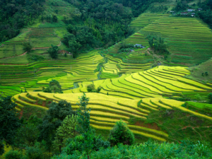 河江摩托车环线（Ha Giang Loop）是越南最令人惊叹的公路旅行路线之一，沿途拥有壮丽的山地景观、蜿蜒曲折的山口以及原汁原味的当地文化。