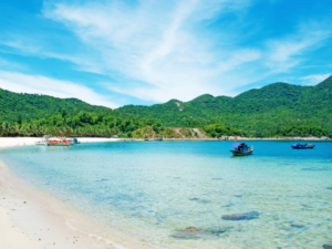 在浮潜之旅中感受占婆岛的迷人风光，原始海滩与丰富多彩的海底生态系统共同打造完美的海岛度假体验。